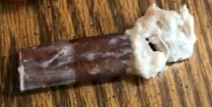 Bully Stick Holders: The Ultimate Guide