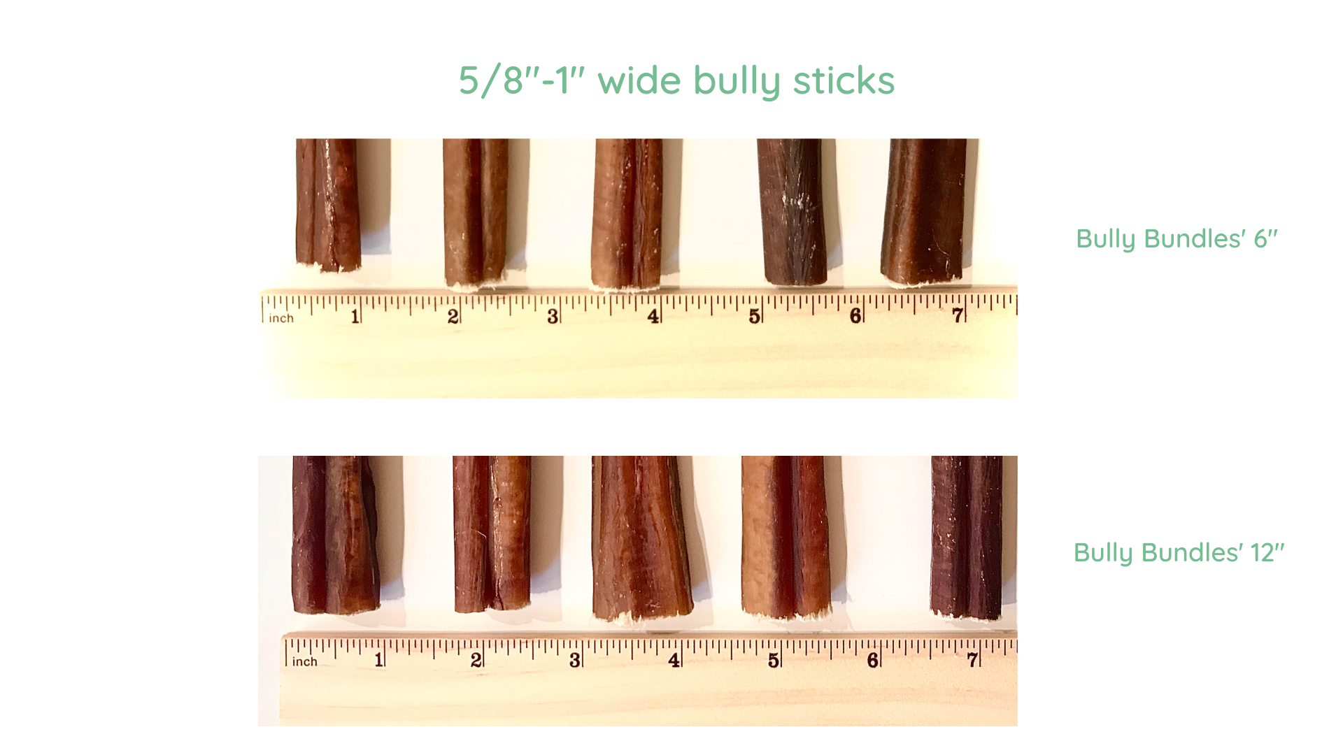Bully Stick Holders: The Ultimate Guide