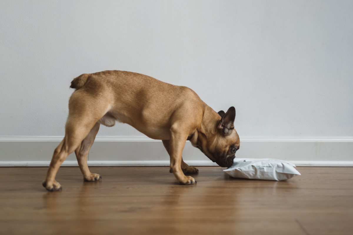 [Video] How Our Bully Sticks Are Longer Lasting