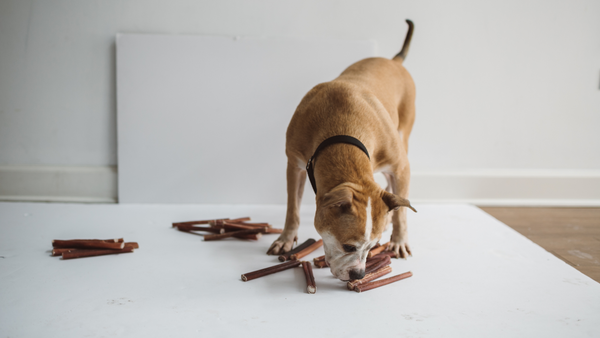 How Many Calories Are In A Bully Stick?